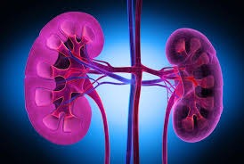 Kidney Dialysis Care in Nagpur