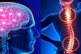 Brain Spine Hospital Yavatmal