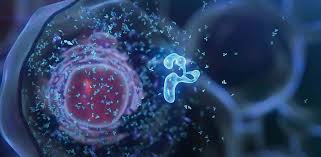 Cancer Specialist Hospital Bhopal