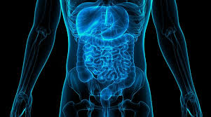 Gastro & Kidney Care Specialist Hospital in Katni