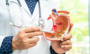 Gastro & Kidney Care Specialist Hospital in Shivpuri