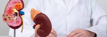 Gastro & Kidney Care Specialist Hospital in Wardha