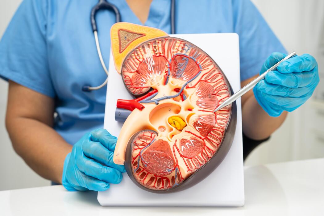 Gastro & kidney care specialist hospital in buldhana