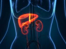 Liver Kidney Hospital Burhanpur
