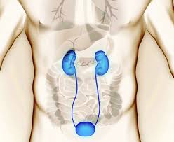 Liver Kidney Hospital Ratlam