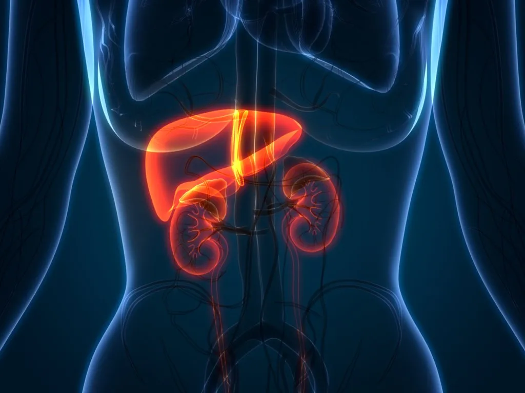 Liver kidney hospital in gwalior