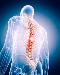 Neuro & Spine Surgery Specialist Hospital in Bhopal