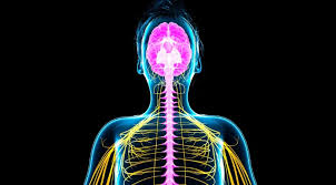 Neuro & Spine Surgery Specialist Hospital in Burhanpur