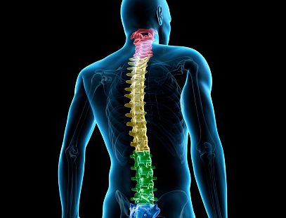 Neuro & Spine surgery specialist hospital in gwalior