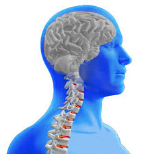 Neuro & Spine Surgery Specialist Hospital in Indore