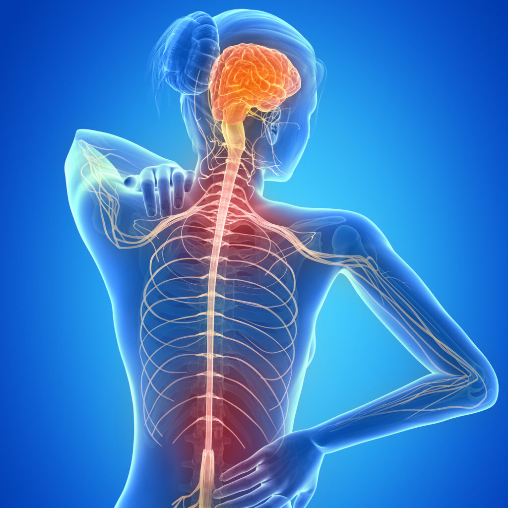 Neuro spine surgery specialist hospital in buldhana