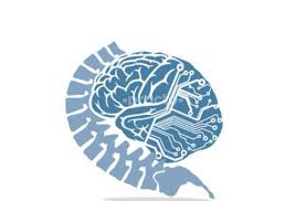 Brain Spine Hospital Maihar