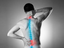 Brain Spine Hospital Rajgarh