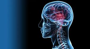Brain Spine Hospital Vidisha