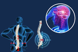 Brain and Spine Surgery Specialist In Nagpur