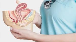 Gastro & Kidney Care Specialist Hospital in Damoh