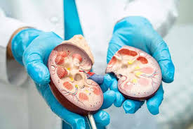 Gastro & Kidney Care Specialist Hospital in Maihar