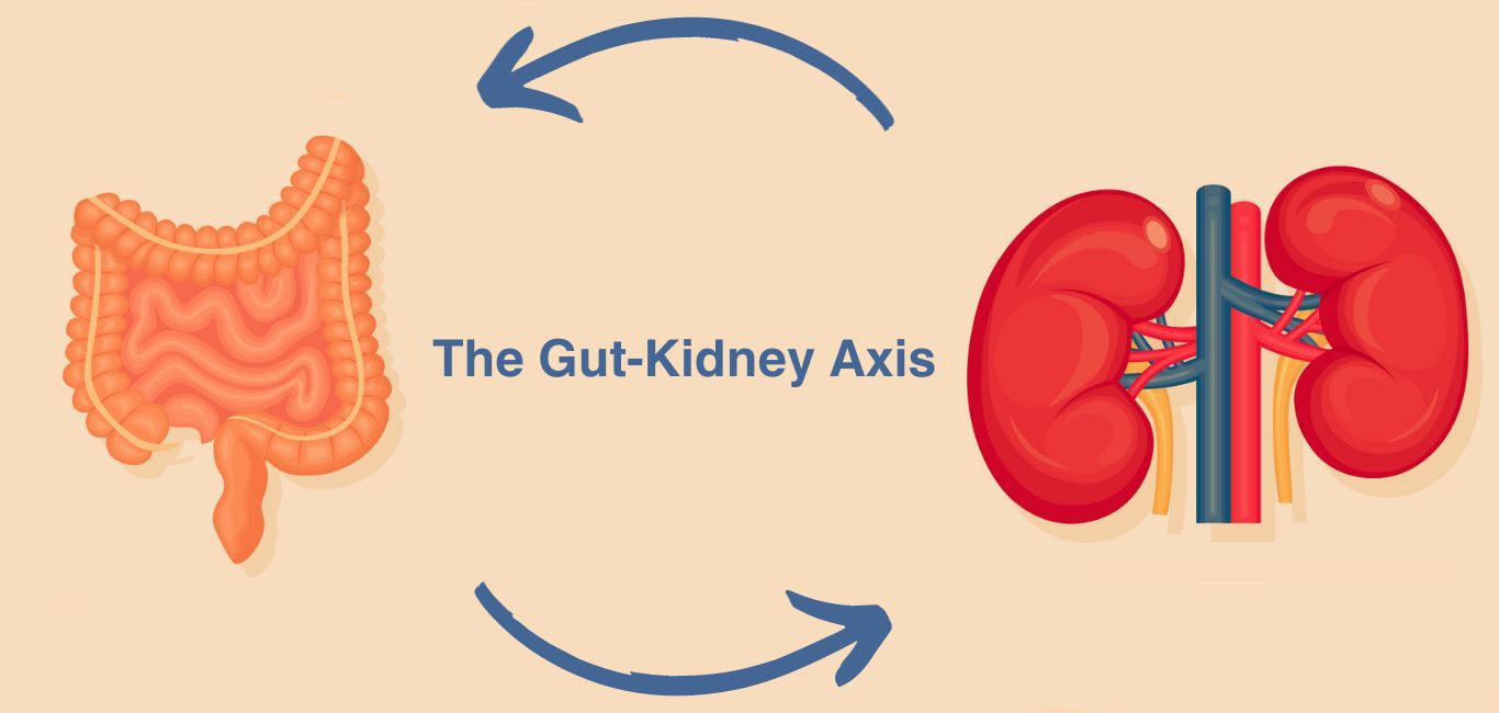 Gastro & kidney care specialist hospital in sheopur
