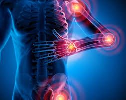 Joint Replacement Surgery Specialist in Rajgarh