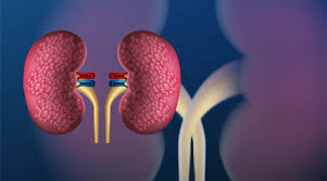 Liver Kidney Hospital Damoh