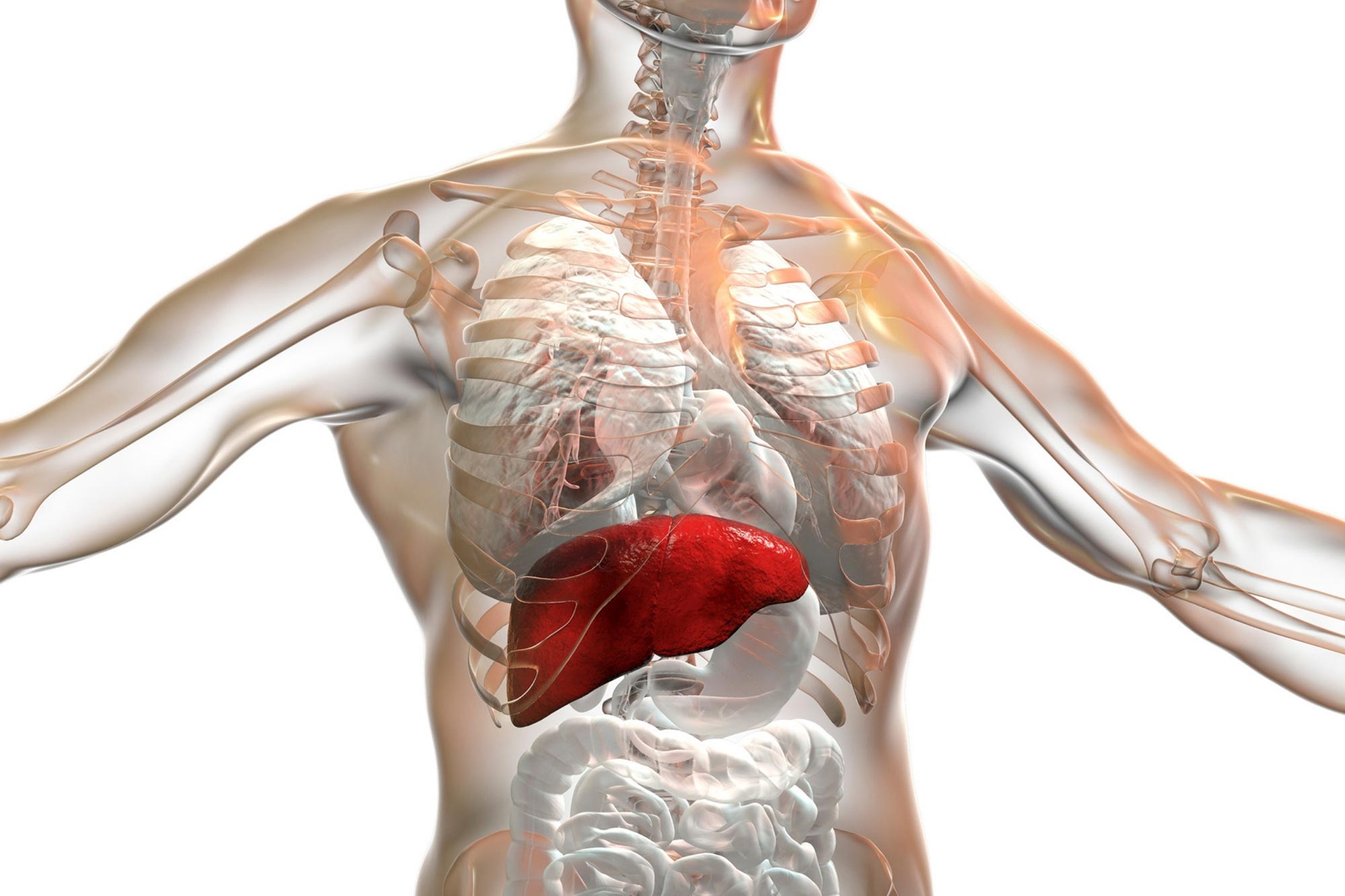 Liver kidney hospital in mandla