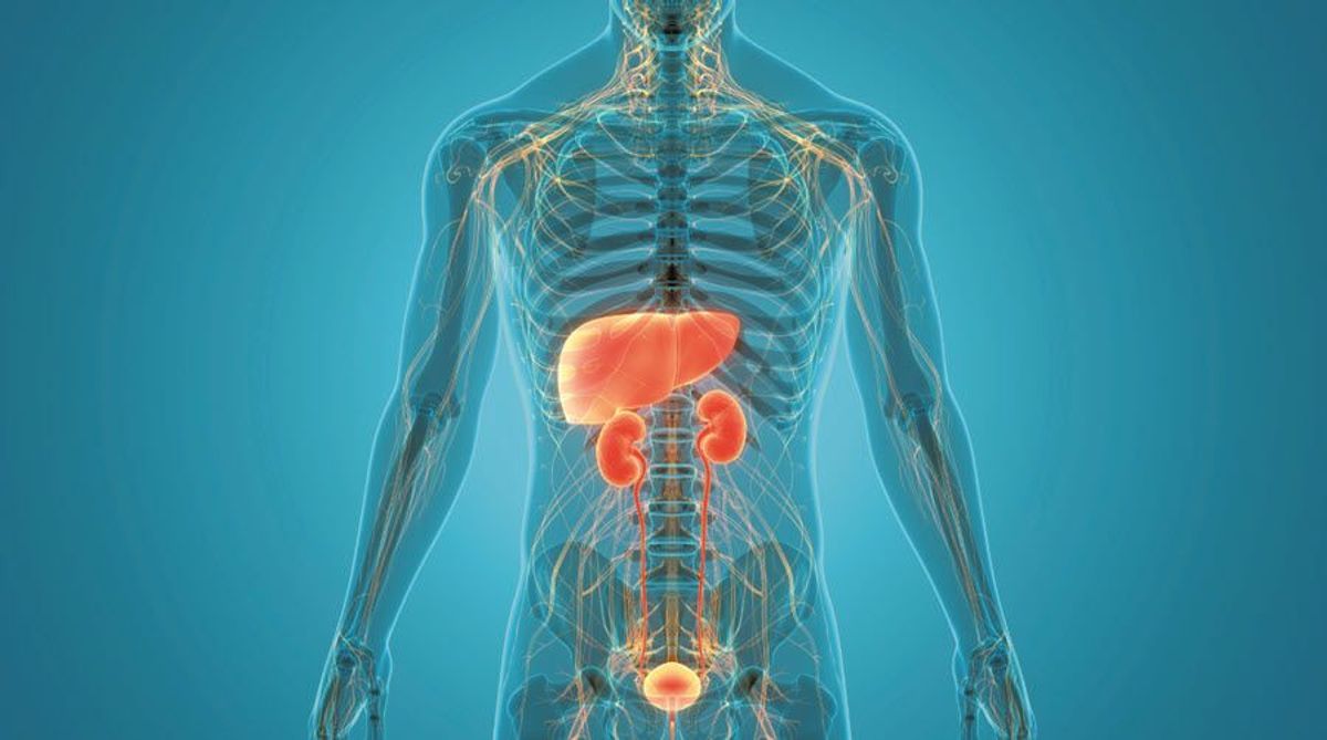 Liver kidney hospital in sheopur