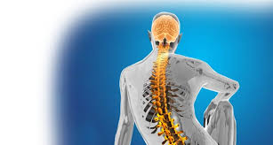 Neuro & Spine Surgery Specialist Hospital in Chhatarpur