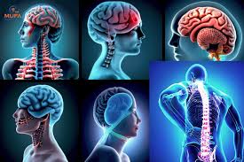 Neuro & Spine Surgery Specialist Hospital in Rajgarh