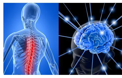 Neuro & spine surgery specialist hospital in ujjain