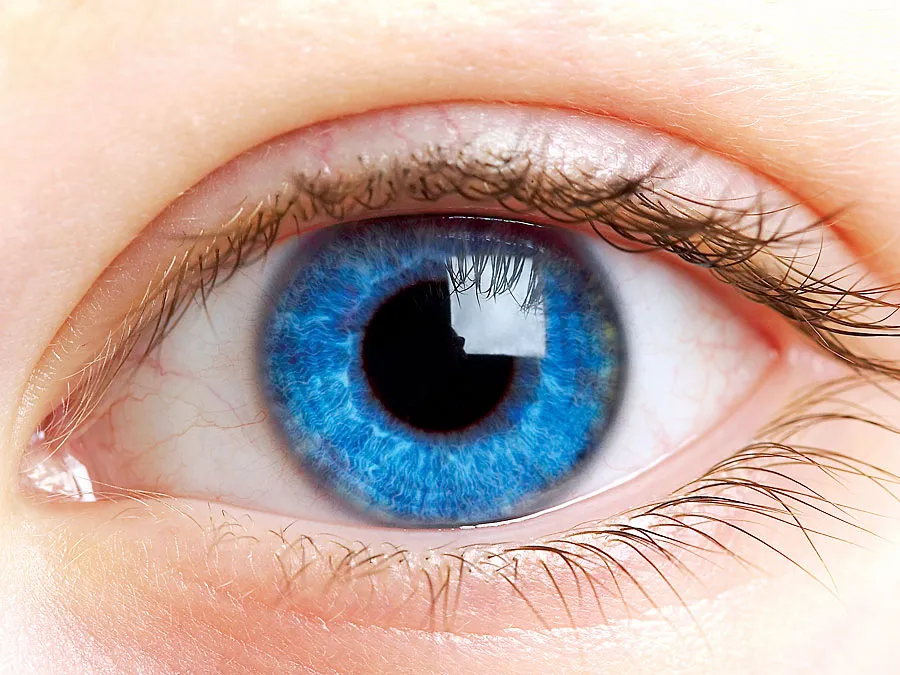 Best eye surgery specialist doctor in bijapur