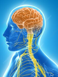 Brain spine hospital in bijapur
