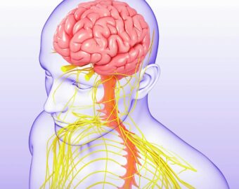 Brain spine hospital in durg