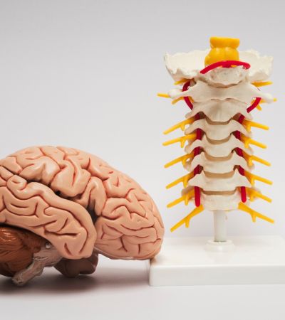 Brain spine hospital in kondagaon