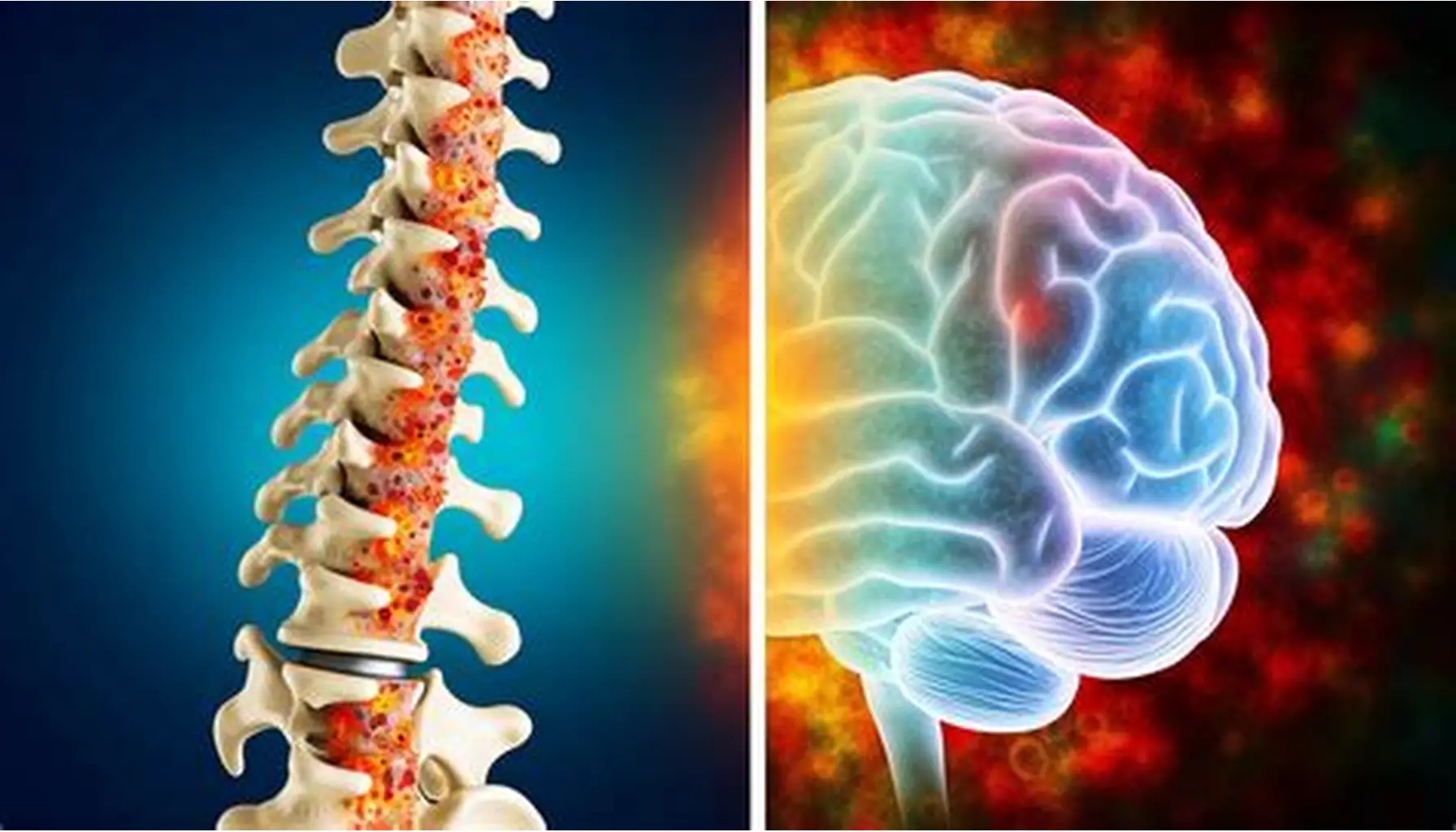 Brain spine hospital in narayanpur