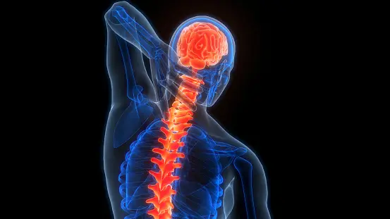 Brain spine hospital in raigarh