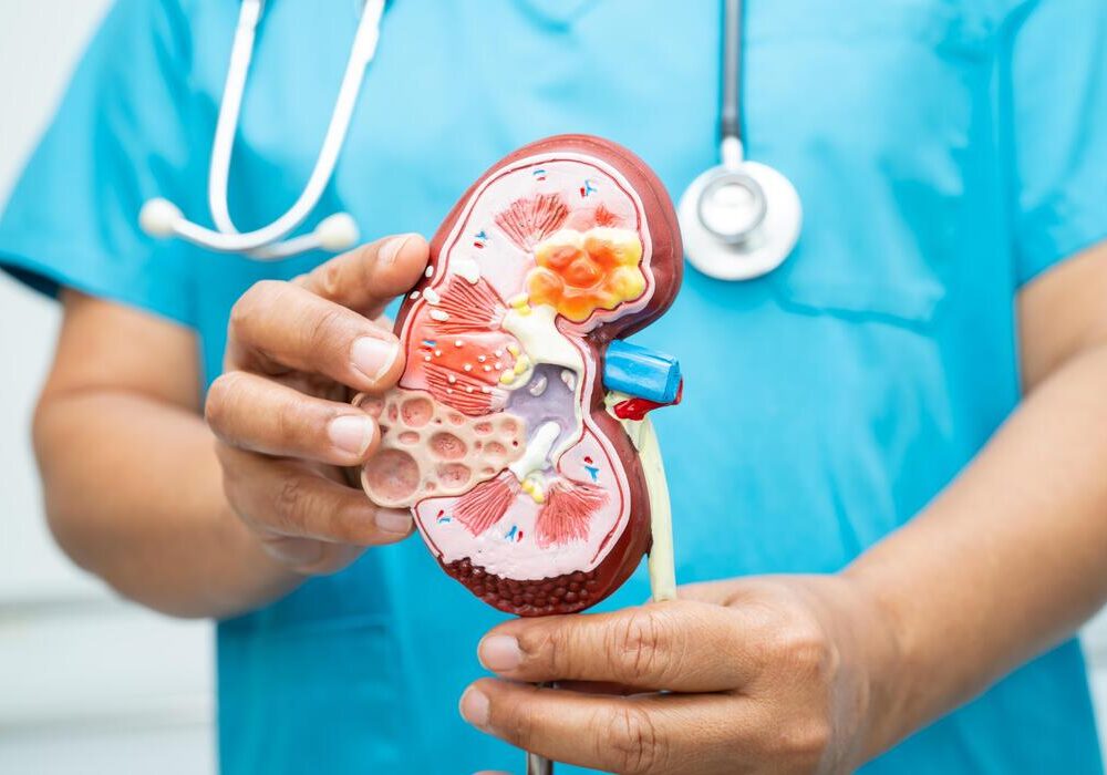 Gastro & kidney care specialist hospital in bijapur