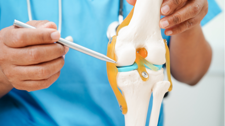 Knee replacement in durg