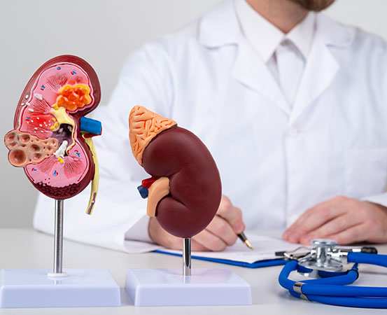 Liver kidney hospital in dongargarh