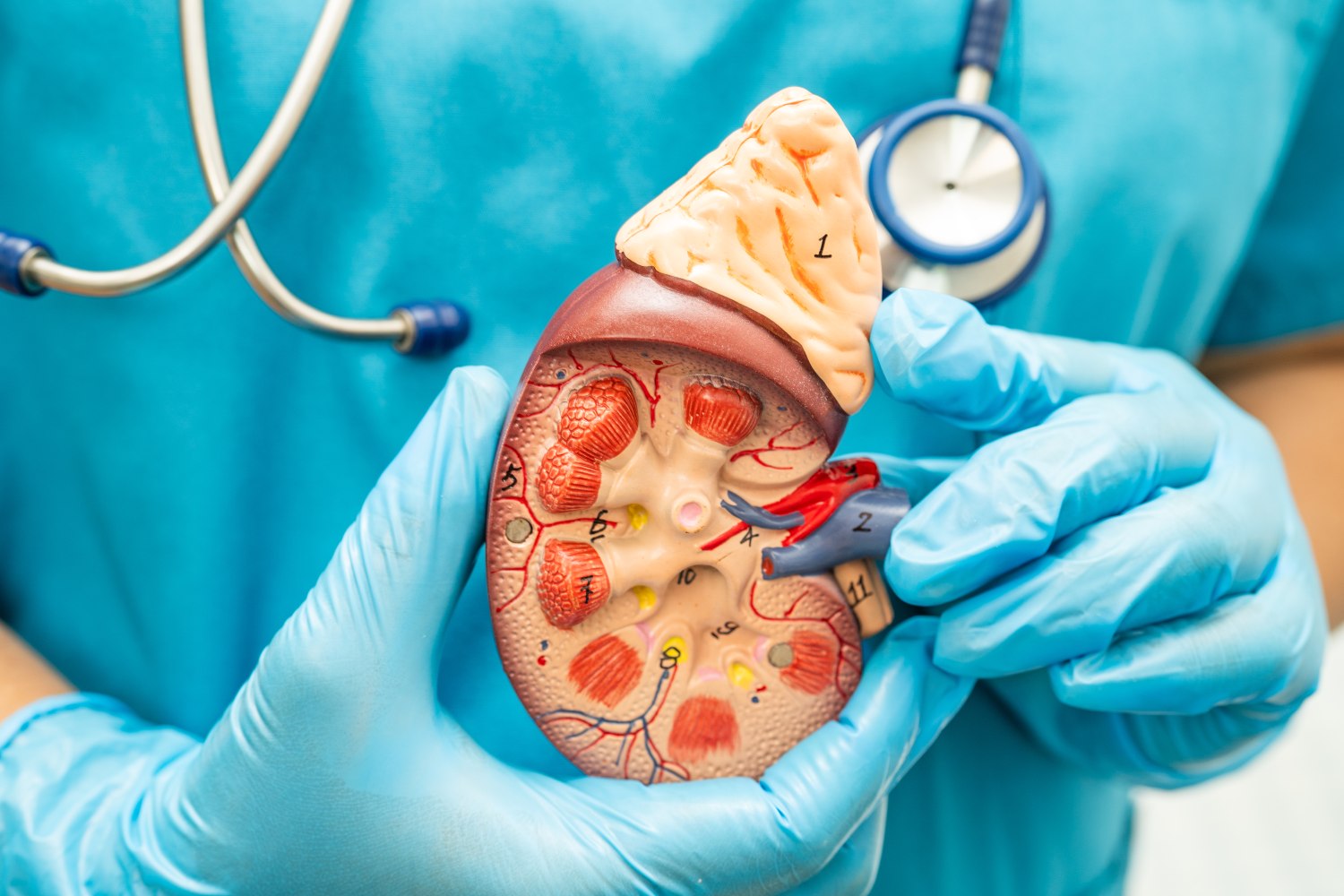 Liver kidney hospital in kanker