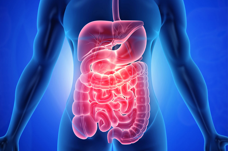Liver kidney hospital in korba