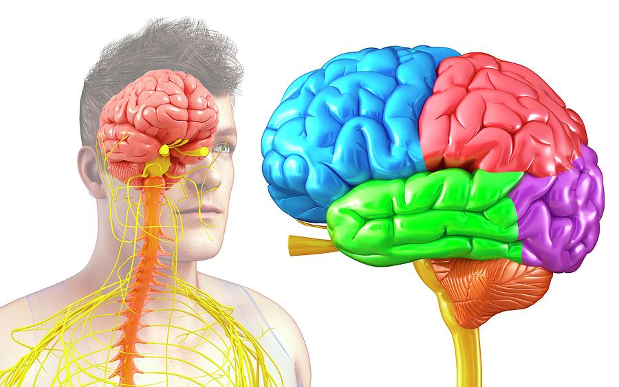 Neuro & spine surgery specialist hospital in durg