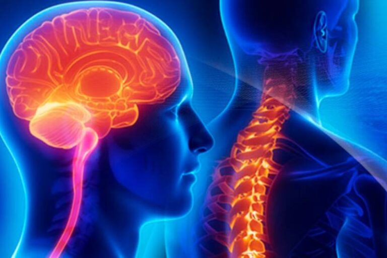 Neuro & spine surgery specialist hospital in raigarh