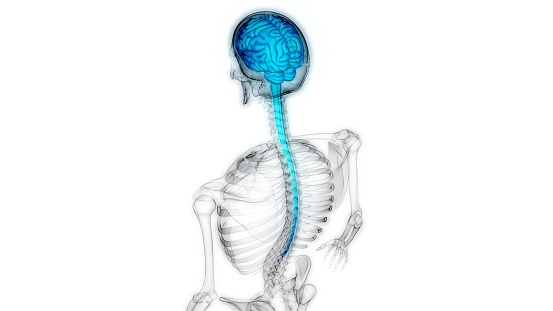 Neuro & spine surgery specialist in surajpur