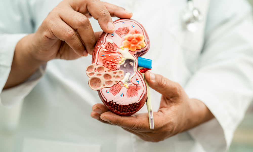 Gastro & Kidney Care Specialist Hospital in Jagdalpur