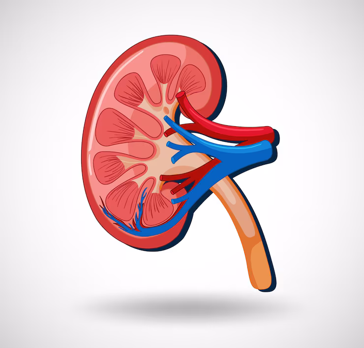 Gastro & Kidney Care Specialist Hospital in Narsinghpur