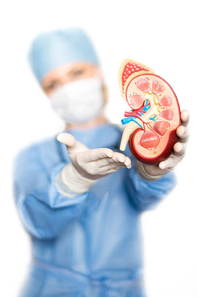Gastro & Kidney Care Specialist Hospital in Raipur
