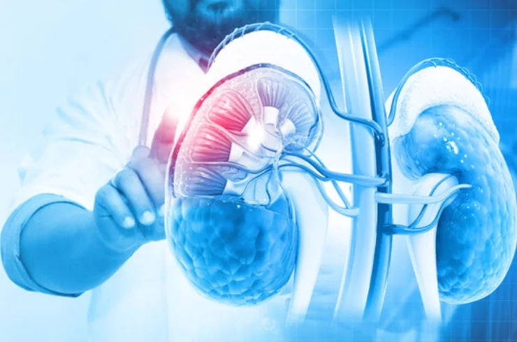 Gastro & Kidney Care Specialist Hospital in Raipur