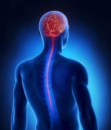 Neuro &amp; Spine Surgery Specialist Hospital in Jagdalpur
