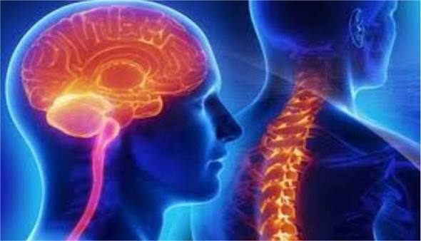 Neuro & Spine Surgery Specialist Hospital in Raipur