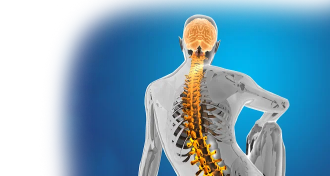 Neuro & spine surgery specialist in gondia